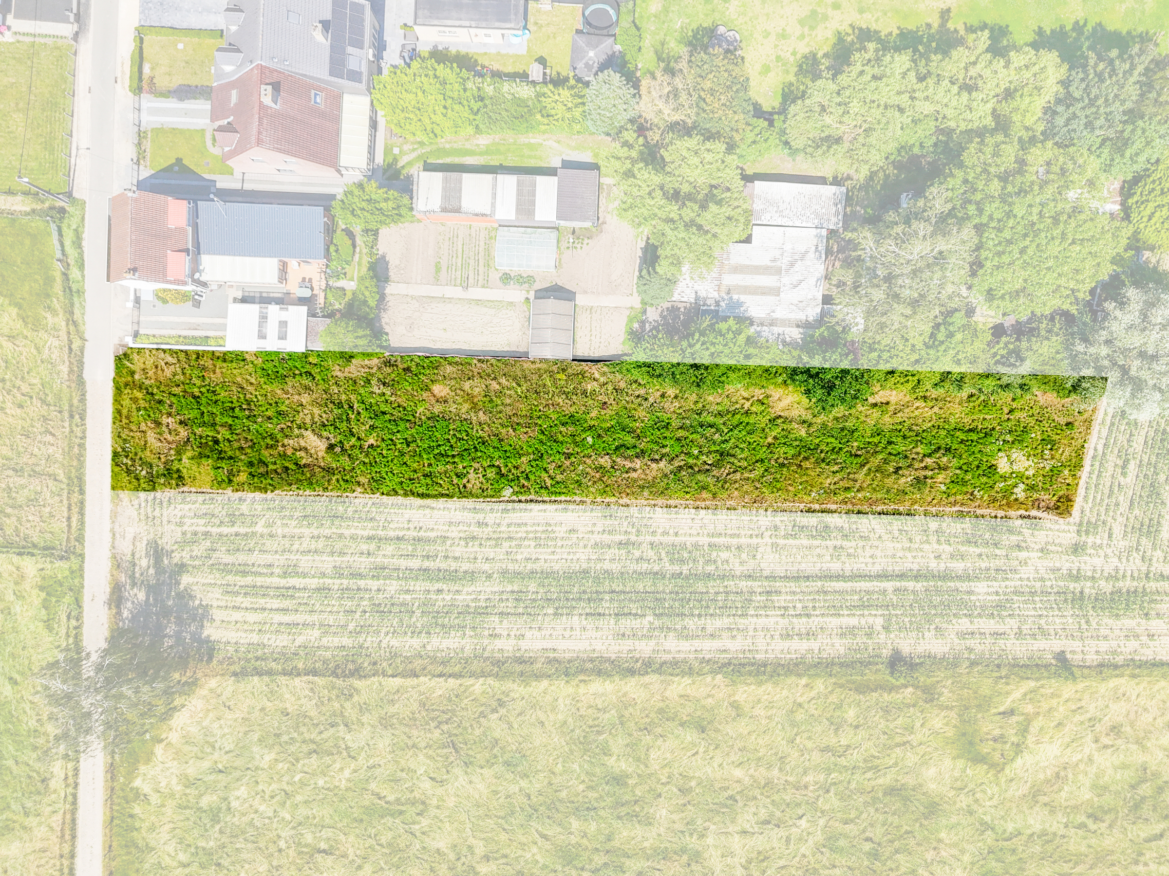 Land for sale in Dendermonde - photo 3