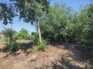 BOUWGROND RUIEN - 632M² Dit uitstekende bouwperceel in Ruien biedt u een unieke kans om uw droomwoning te realiseren. Met een grondoppervlakte van 632 vierkante meter beschikt u over voldoende ruimte. Het perceel is ideaal gelegen in het rustieke dorpsmilieu van Ruien, waar u in de buurt blijft van alle nodige voorzieningen. De omgeving wordt gekenmerkt door authentieke architectuur en groene landschappen, wat een aangenaam woonklimaat waarborgt.Meer informatie? Neem contact met Stein via 0468 41 38 48 of stein@immovercoutere.be