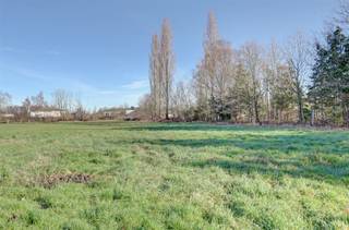Idyllische paardenweide / bosgrond in Bonheiden - 5.956 m² Droomt u van rust, natuur en ruimte? In het groene en landelijke Bonheiden bieden wij deze...
