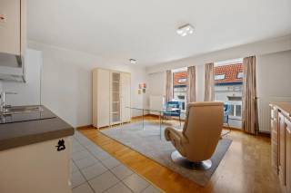 Eén slaapkamer appartement van 53.01m² in het centrum van de stad op 200 m van de Grote Markt, nabij grote parking, winkels en supermarkt op wandelafstand. Het appartement is gelegen op de 2de verdieping en omvat: inkom, vestiaire, gastentoilet, woonkamer met open ingerichte keuken, berging en badkamer. Het appartement is bereikbaar met lift. De verwarming is op individuele basis door middel van een aardgasketel. Het appartement kan dienen als ideale investering wat een mooi rendement opbrengt of als beginnerswoning. Neem snel contact op met ons kantoor voor een bezichtiging.