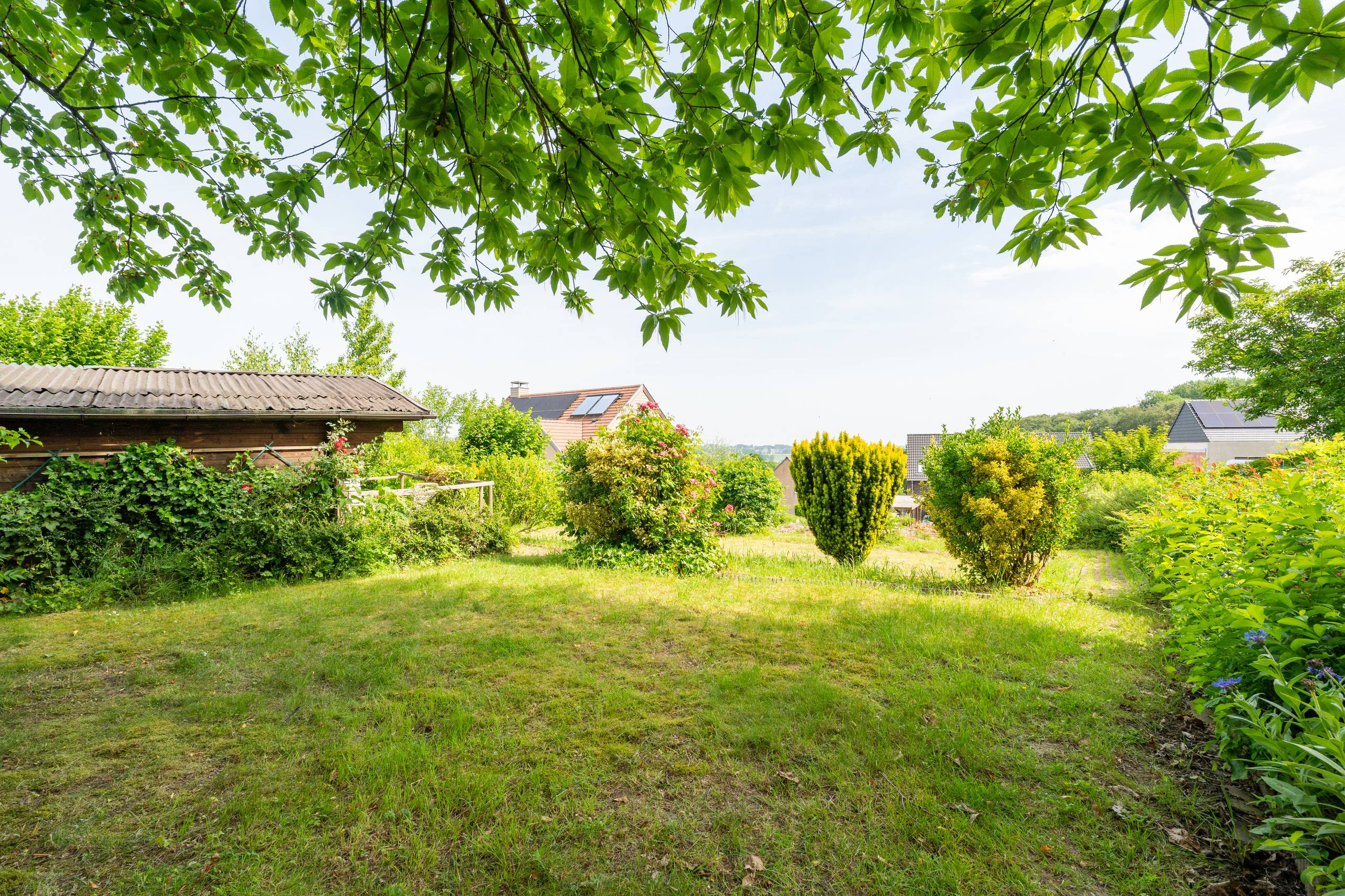 Bouwgrond te koop in Brakel! - foto 5