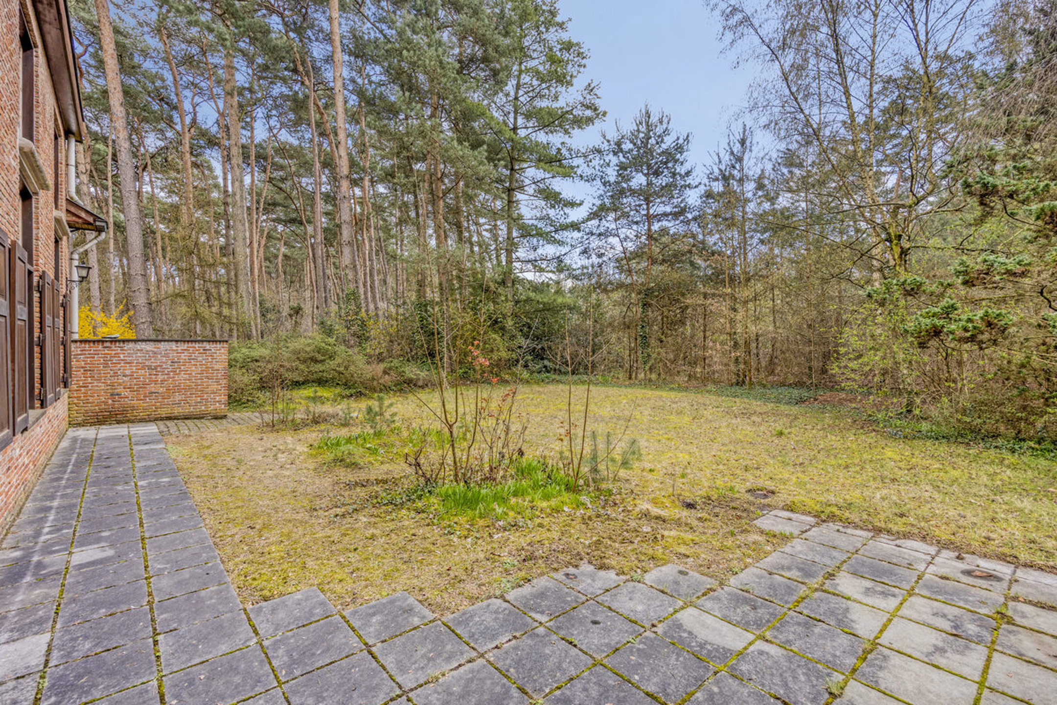 Uniek groen gelegen landhuis met eventuele praktijkruimte - foto 5