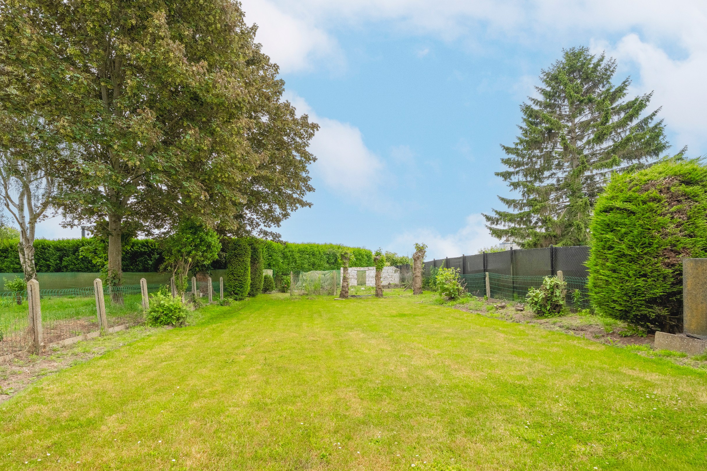 BOUWGROND OP LANDELIJKE LOCATIE IN WAREGEM - foto 4