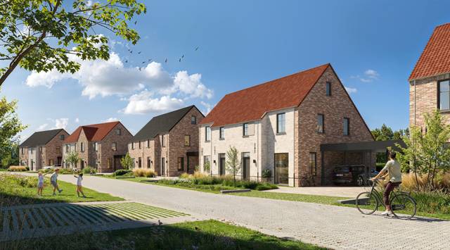 Project te koop in Westerlo