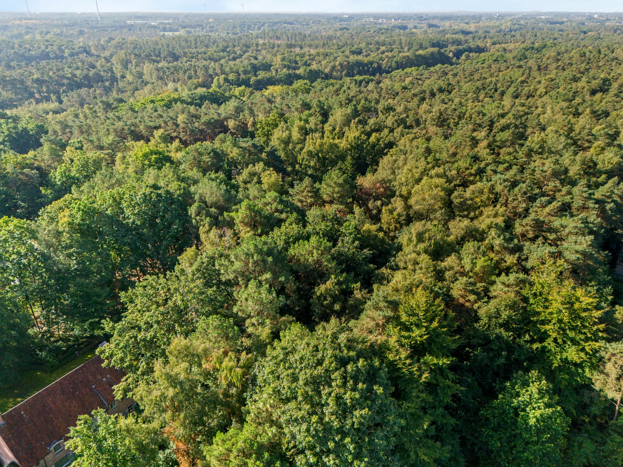 Spacious plot of building land of 1,863 m² for detached construction - photo 4