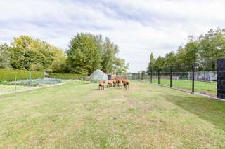 Een gelijkvloerse woning met een praktische indeling, een dubbele garage die dienstdoet als werkplaats of atelier en prachtige weilanden: deze bungalow heeft het allemaal.  <br /><br />Via de ruime inkomhal betreden we de <strong>gezellige leefruimte</strong> waar grote raampartijen voor een overvloed aan licht zorgen. De <strong>keuken</strong> sluit naadloos aan en beschikt over voldoende werk- en kastruimte. Naast de keuken is er nog een <strong>praktische berging</strong>: ideaal voor voorraad of huishoudtoestellen. De bungalow telt <strong>3 volwaardige slaapkamers</strong> en de <strong>badkamer</strong> is compact, maar functioneel ingericht met een inloopdouche. Via een valluik krijg je toegang tot <strong>een ruime zolder</strong> die vandaag voor bergruimte zorgt, maar ook mogelijkheden biedt voor wie op termijn extra bewoonbare oppervlakte wil creëren.<br /><br />De woning staat op een perceel van 642 m² met achter de woning een <strong>dubbele garage van maar liefst 46 m²</strong>: ideaal voor wagens, fietsen of opslag- / werkplaats. Als extra troef liggen er aansluitend <strong>weilanden van 3.059 m²</strong> die zorgen voor een prachtig groen uitzicht: een droom voor menig dierenvriend of iemand met groene vingers. <br /><br />Deze bungalow is ideaal voor wie gelijkvloers wil wonen op een vlot te bereiken locatie en dit in combinatie met het open, groene karakter achteraan. Dankzij de ruime garage, de handige zolder en de grote, aansluitende weilanden is dit een woning met heel wat mogelijkheden. <br /><br />Benieuwd naar wat deze woning te bieden heeft? Contacteer ons via laurens@claves.be of op 0476 21 35 46. <br /> 