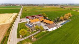 Hoeve met binnenkoer, woning, loods en rundveestallen alsook afzonderlijke loods te koop te Watou.De hoeve met de aanpalende weide heeft een...