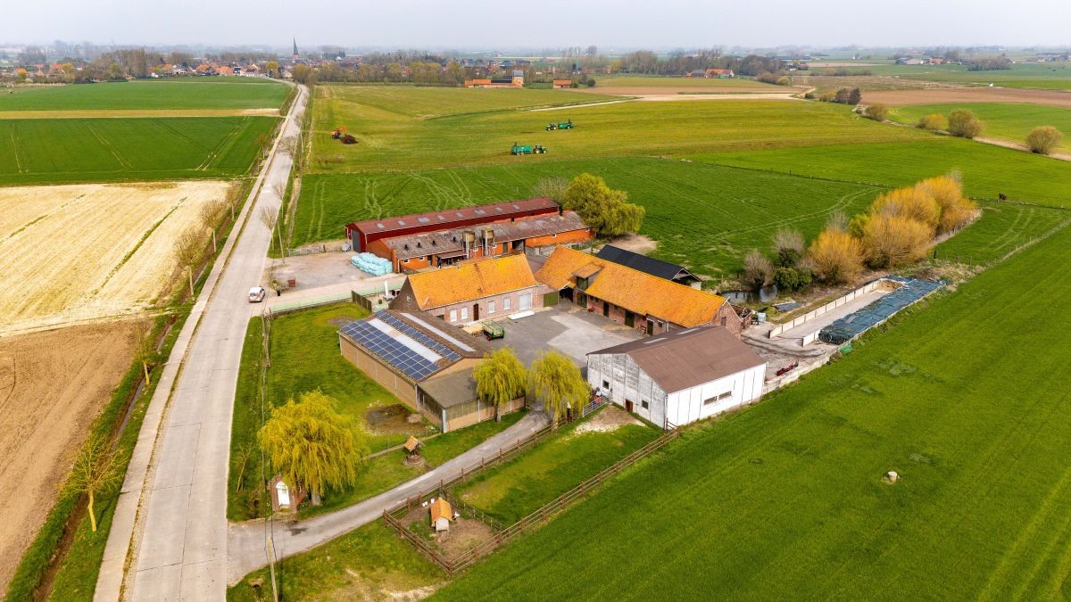 Mooi gelegen hoeve met loodsen op 2,5 ha te koop te Watou - foto 1