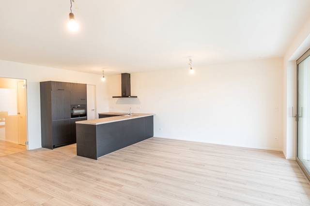 Projet à vendre à Blaasveld