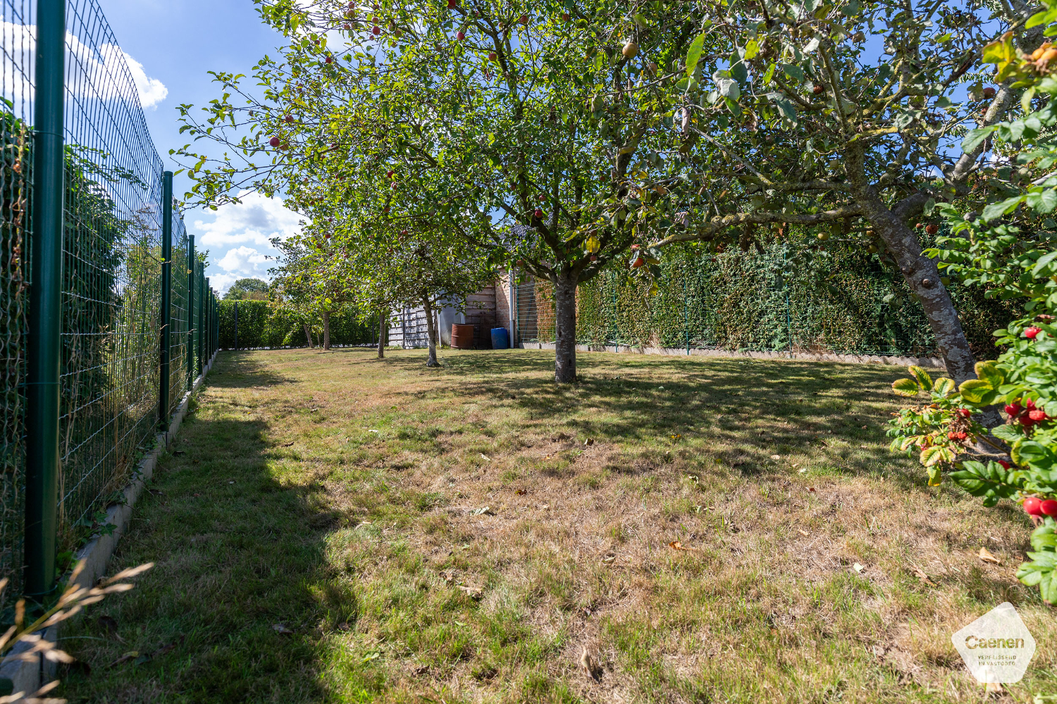 VRIJSTAANDE LANDELIJKE GELEGEN TE RENOVEREN WONING met 3 slaapkamers en MOOI PERCEEL VAN 980 m² - foto 3