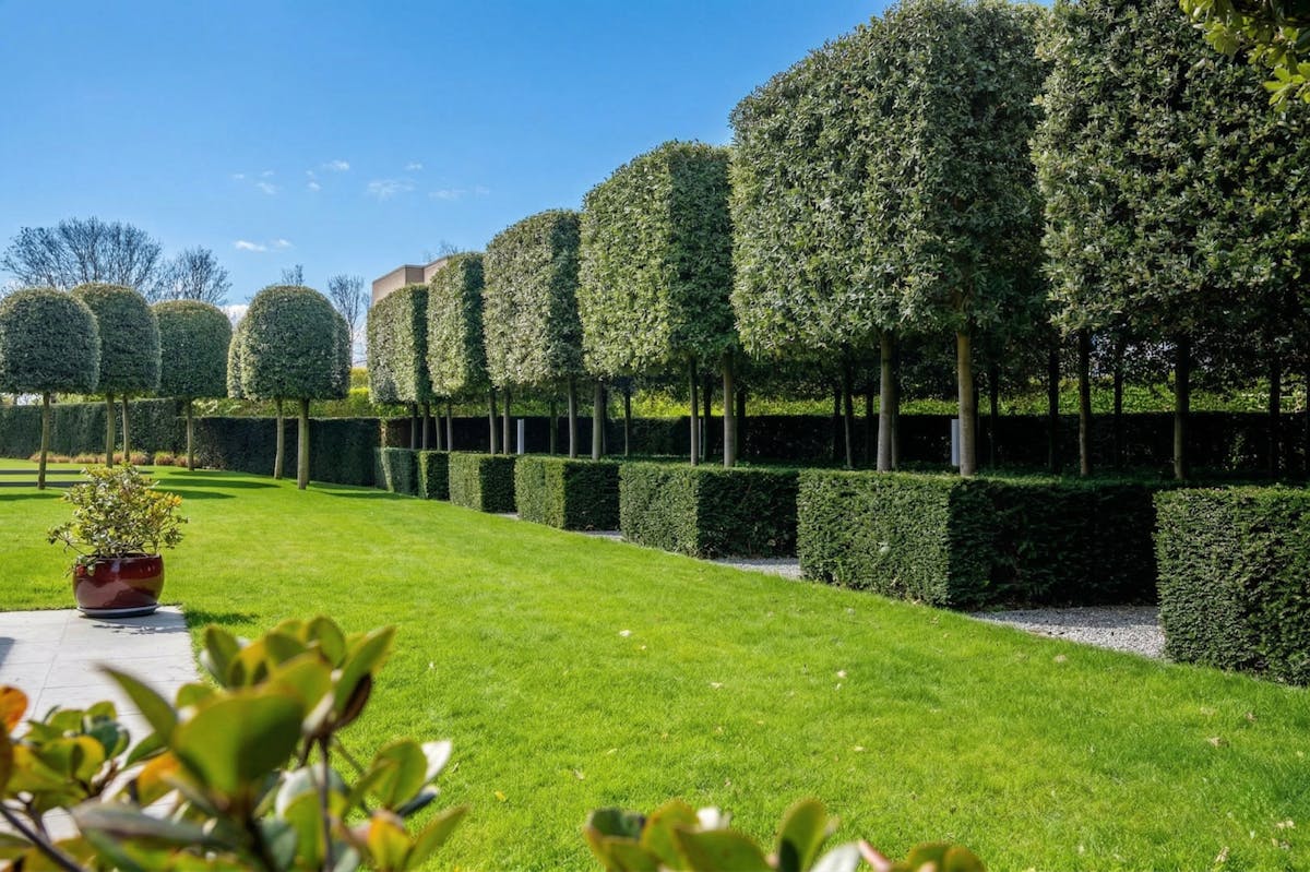 Exclusieve villa op prachtig perceel grond te koop te Leffinge! - foto 4