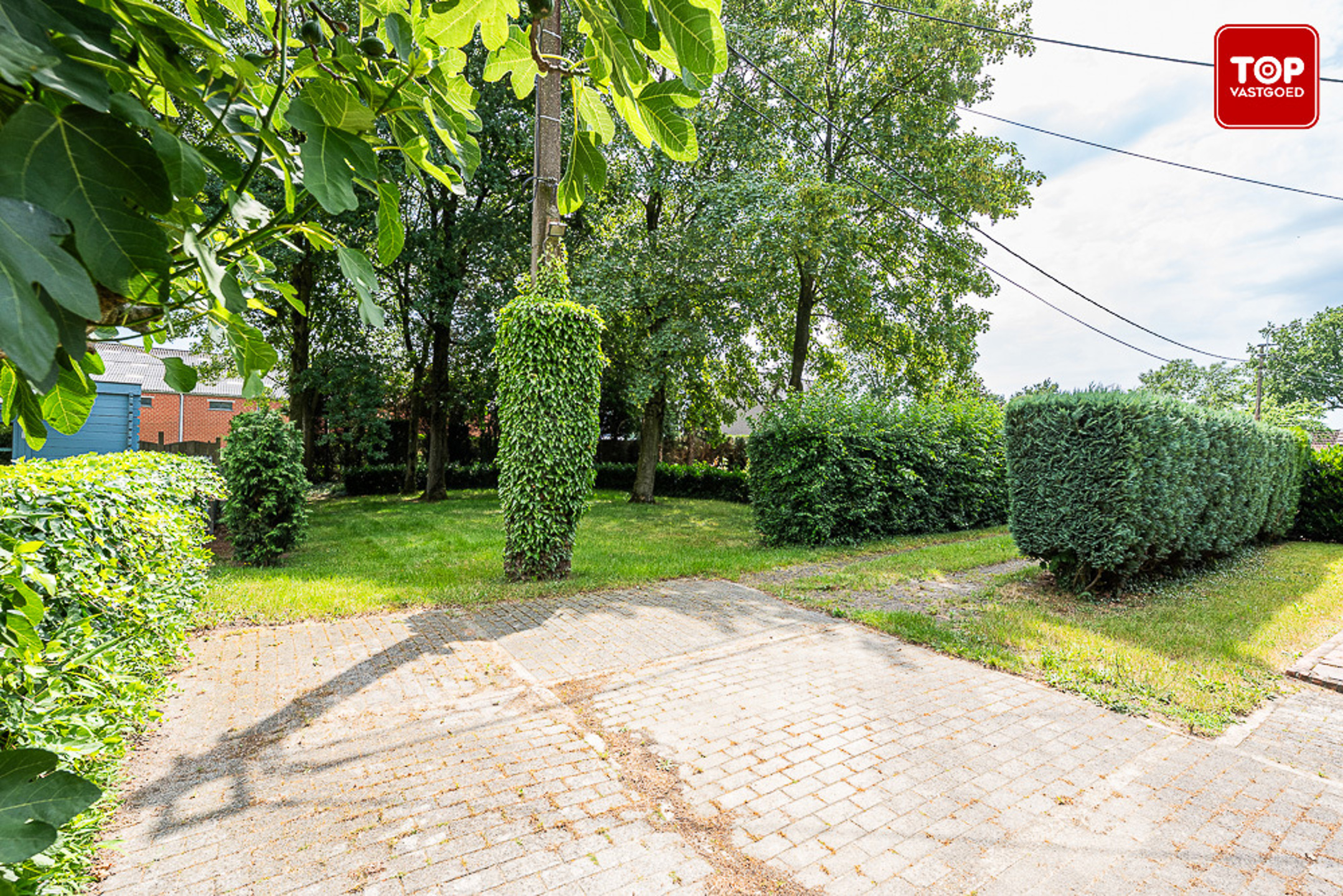 Maison à vendre à Lokeren avec 1 chambre - photo 5