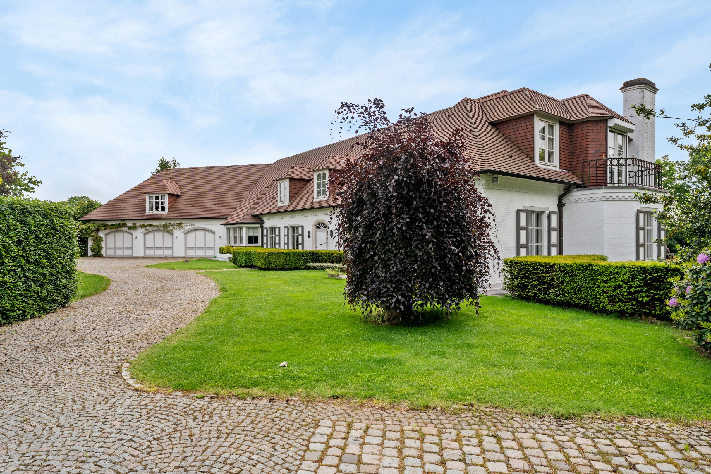 Stijlvolle, kwalitatieve villa van 1008m² gelegen op een terrein van 6709m² op wandelafstand van de binnenstad van Maaseik. - foto 1