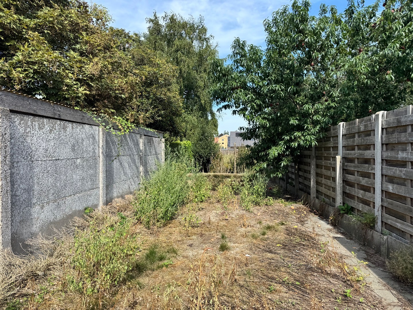 Bouwgrond met potentieel te Koekelare - foto 3