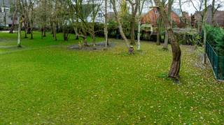 Land for sale in Gavere