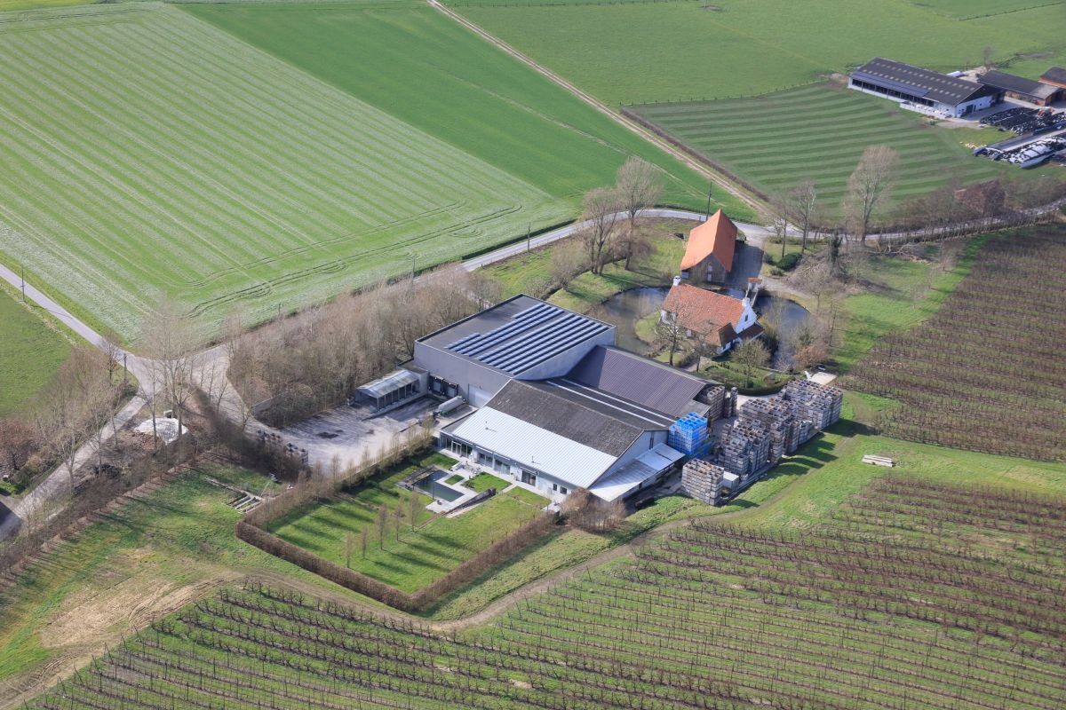 Fruitbedrijf met 2 woningen op circa 18 ha te koop te Kluisbergen - foto 2