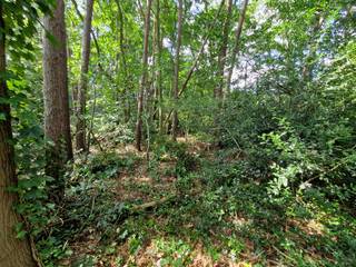 Bouwgrond voor open bebouwing op een topligging in Keerbergen!Waar vind je nog een achterliggende bouwgrond van ca 46 a voor een open bebouwing in...