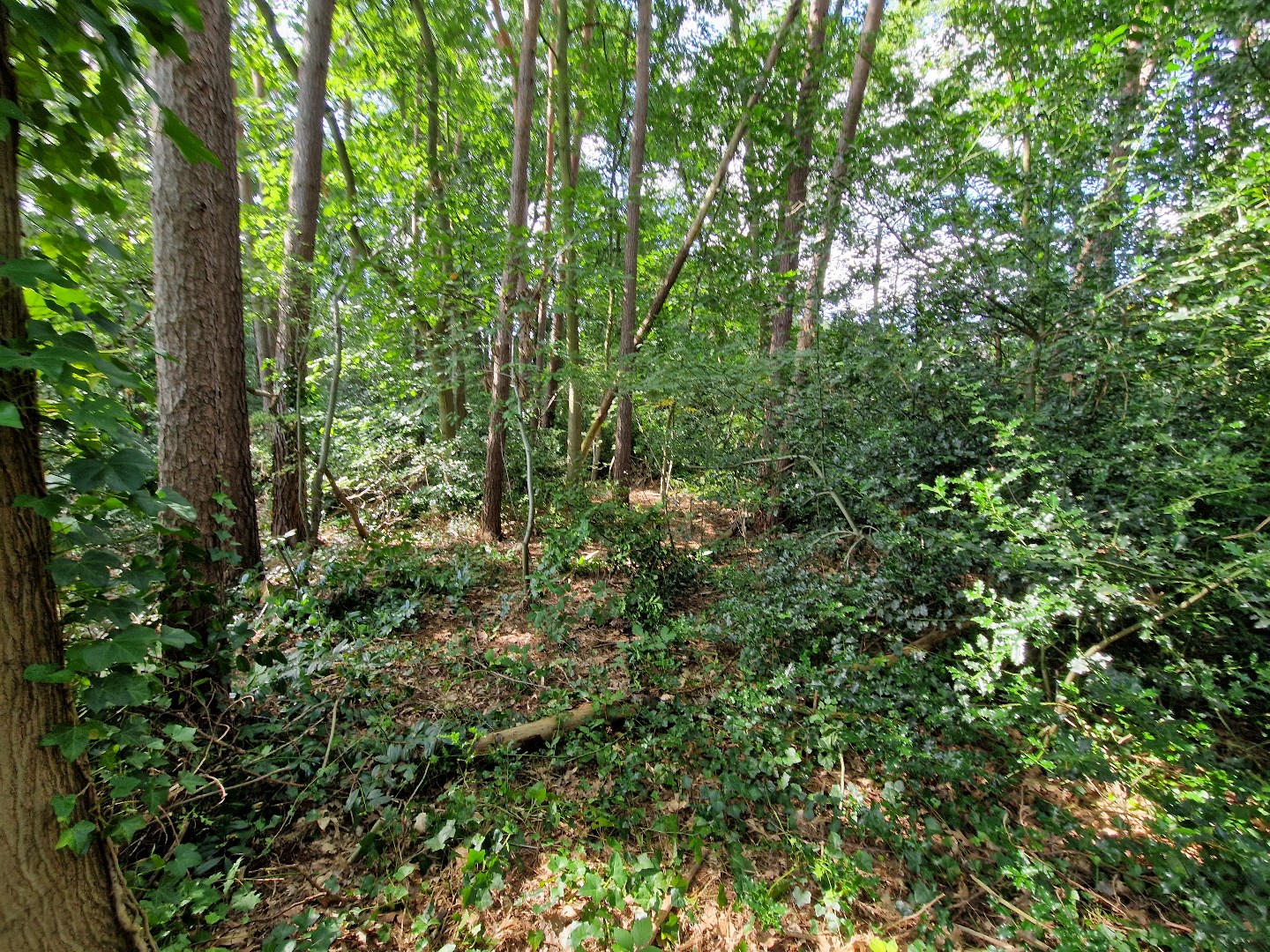 Bouwgrond voor open bebouwing op een topligging in Keerbergen! - foto 3