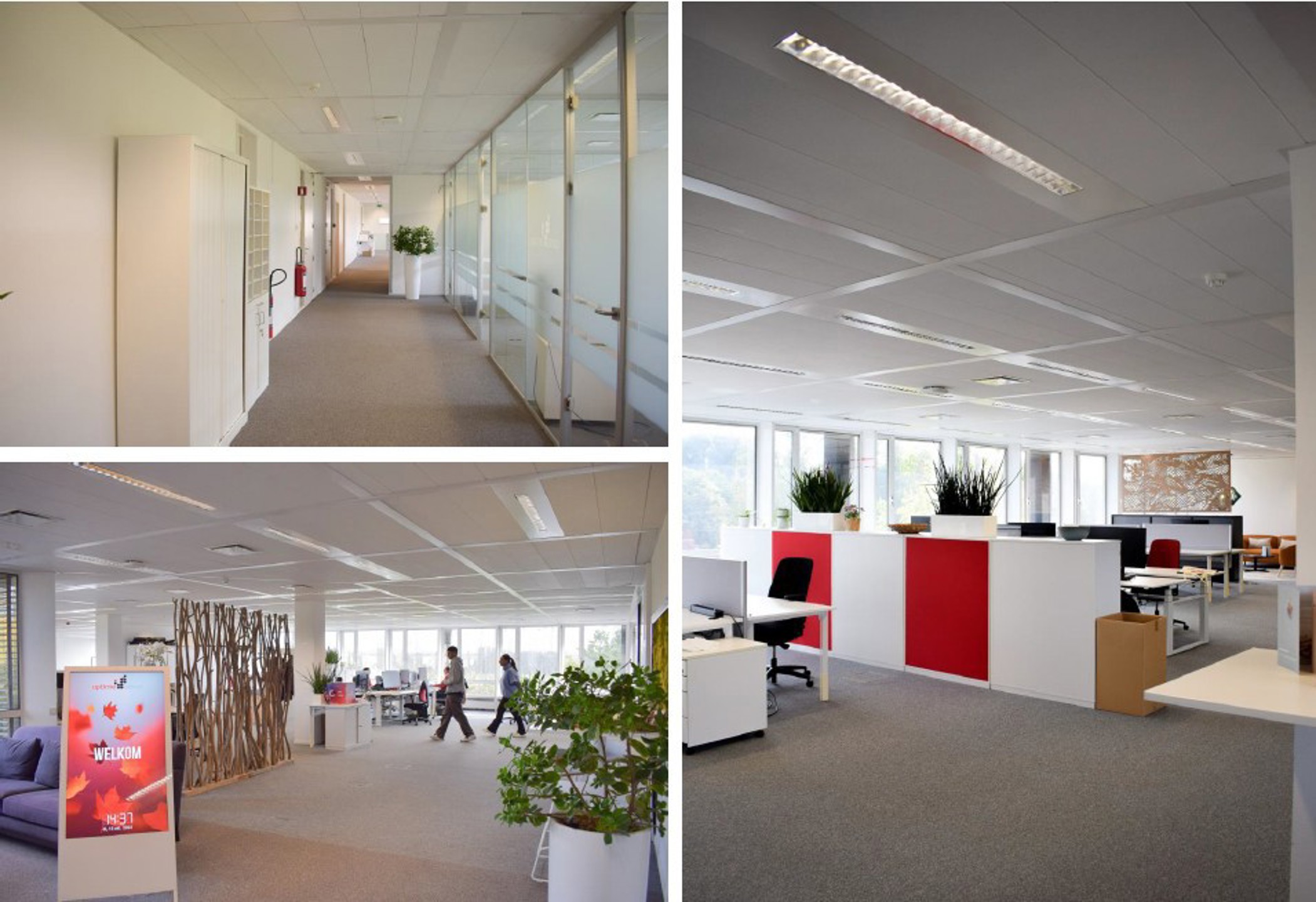 Kantoor te huur 718m² - foto 3