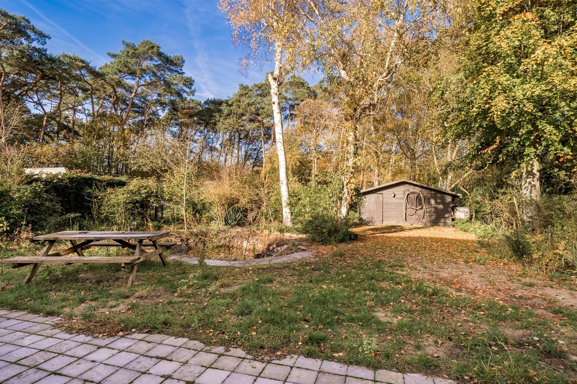 Te renoveren woning met grote tuin en eigen bos in rustig Bonheiden.  - foto 3