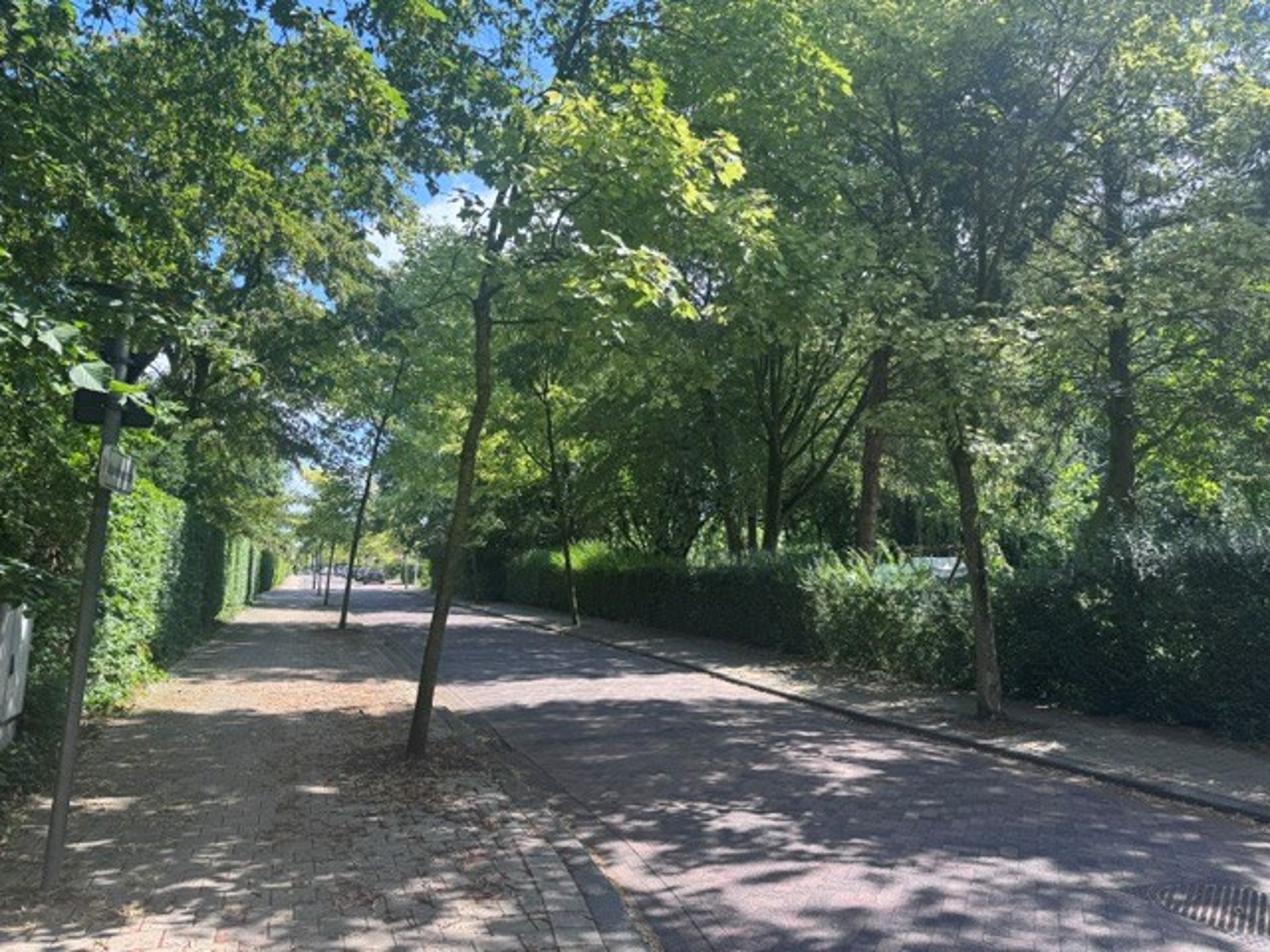 Woonerf Kapellekensbos - foto 5