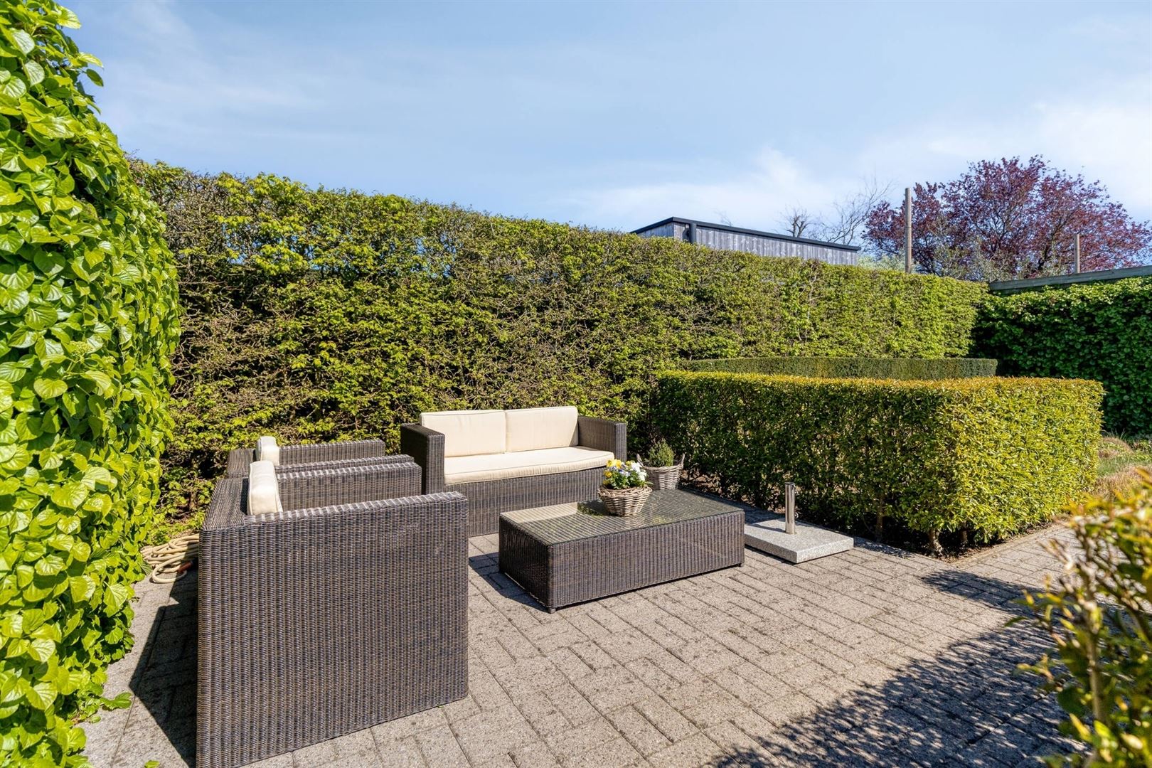 Développement ouvert et soigné avec des vues lointaines fantastiques ! - photo 5