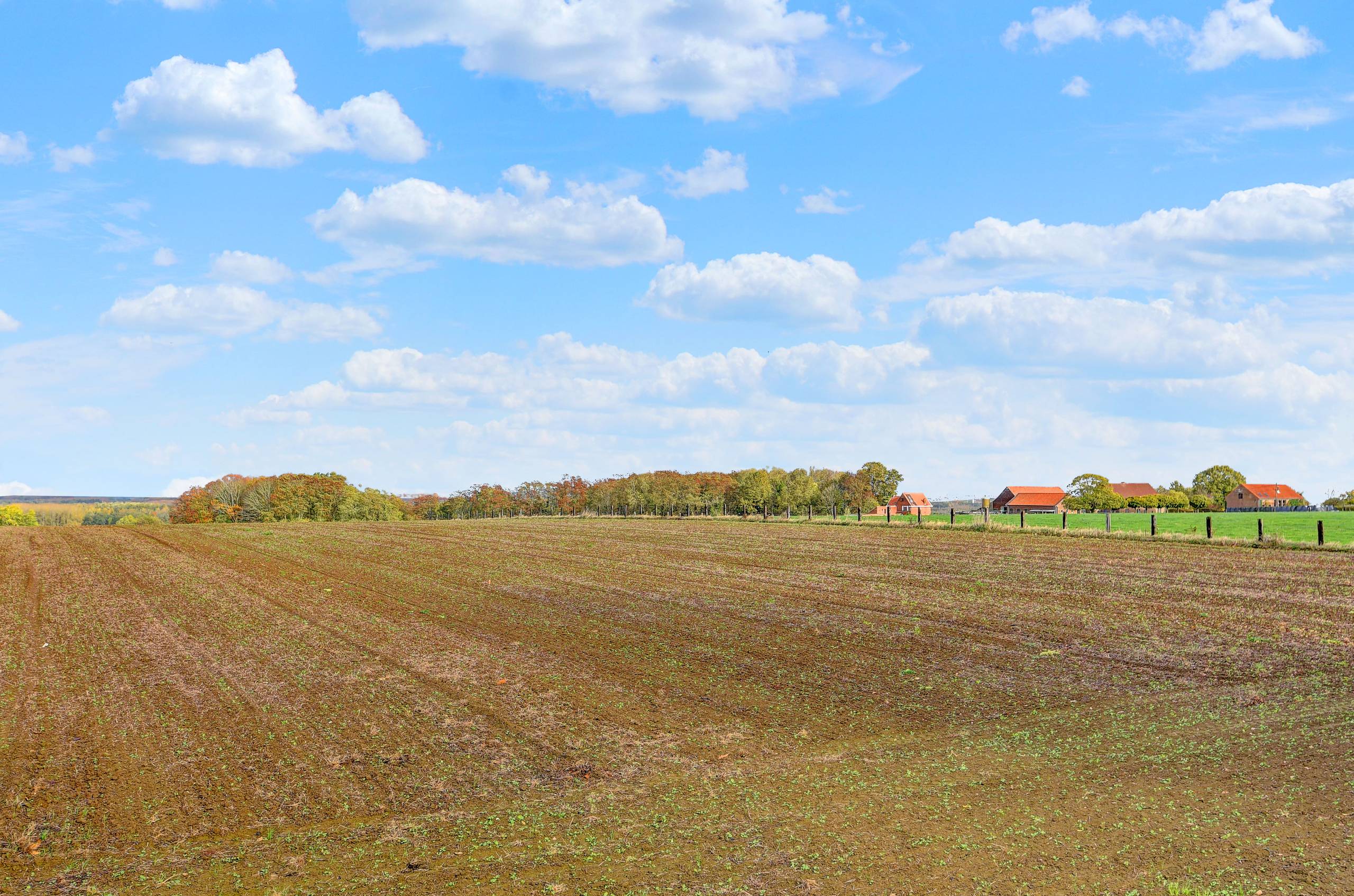 Landelijk gelegen 3 slaapkamerwoning op 12a 22ca. - foto 3