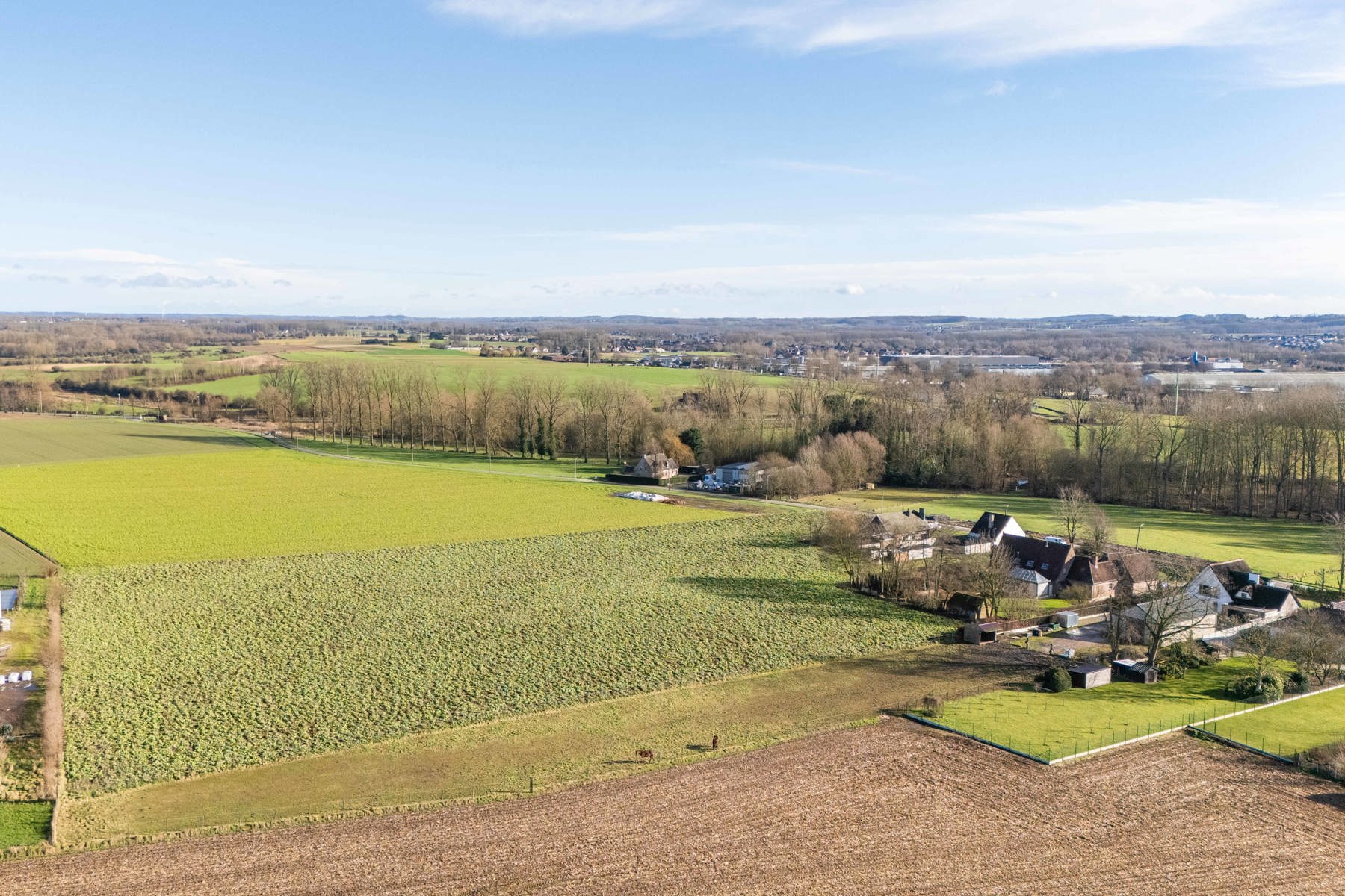 Terrain à vendre à Grammont - photo 4