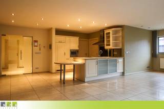 Appartement à louer à Maaseik