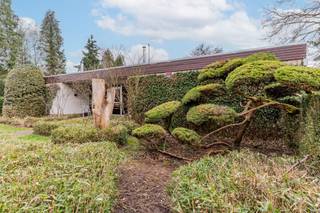 Deze charmante woning is rustig gelegen ,op een ruim perceel in een aangename woonomgeving.De ligging met tal van voorzieningen zoals winkels,...