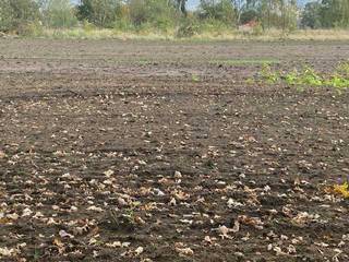 UNIEK GROOT STUK OPEN BEBOUWING 18 ARE VOOR VILLA BEWONING IN RUSTIGE OMGEVING MET ALLE FACILITEITEN.<br />TEL VOOR ONDERHANDELING EN INFO +32.470.963887