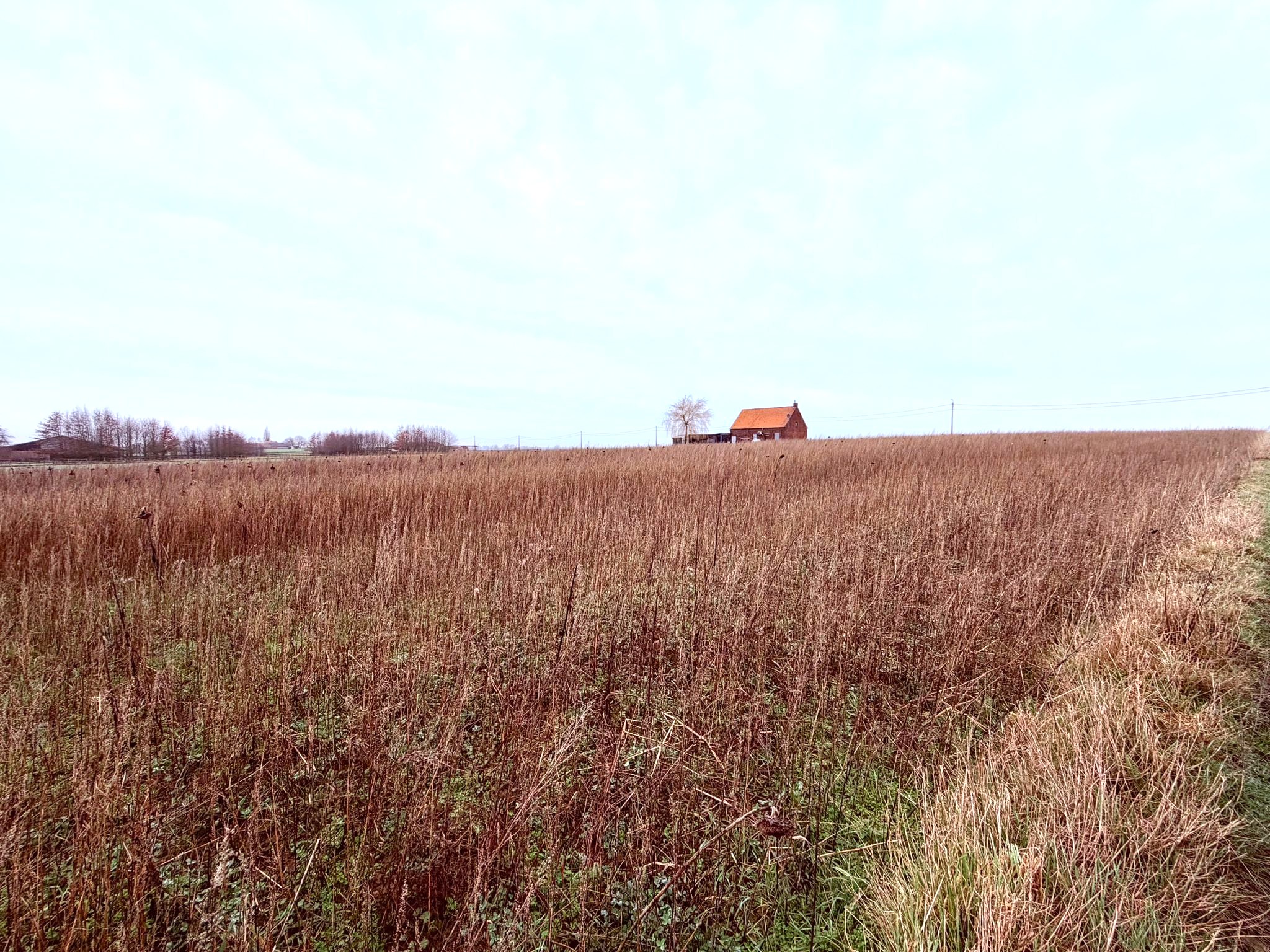 Bouwgrond/woning 1,3 ha op heuvel met uniek verzicht rondom - foto 3