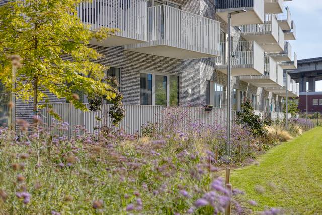 Project te koop in Machelen