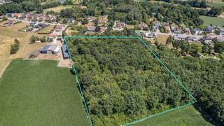 Perceel bosgrond "Hoogenbeemorter" op 14.698 m² te Grasheide.Beschrijving:Ruim perceel bos gelegen achter de woningen Meester Van der Borghtstraat...