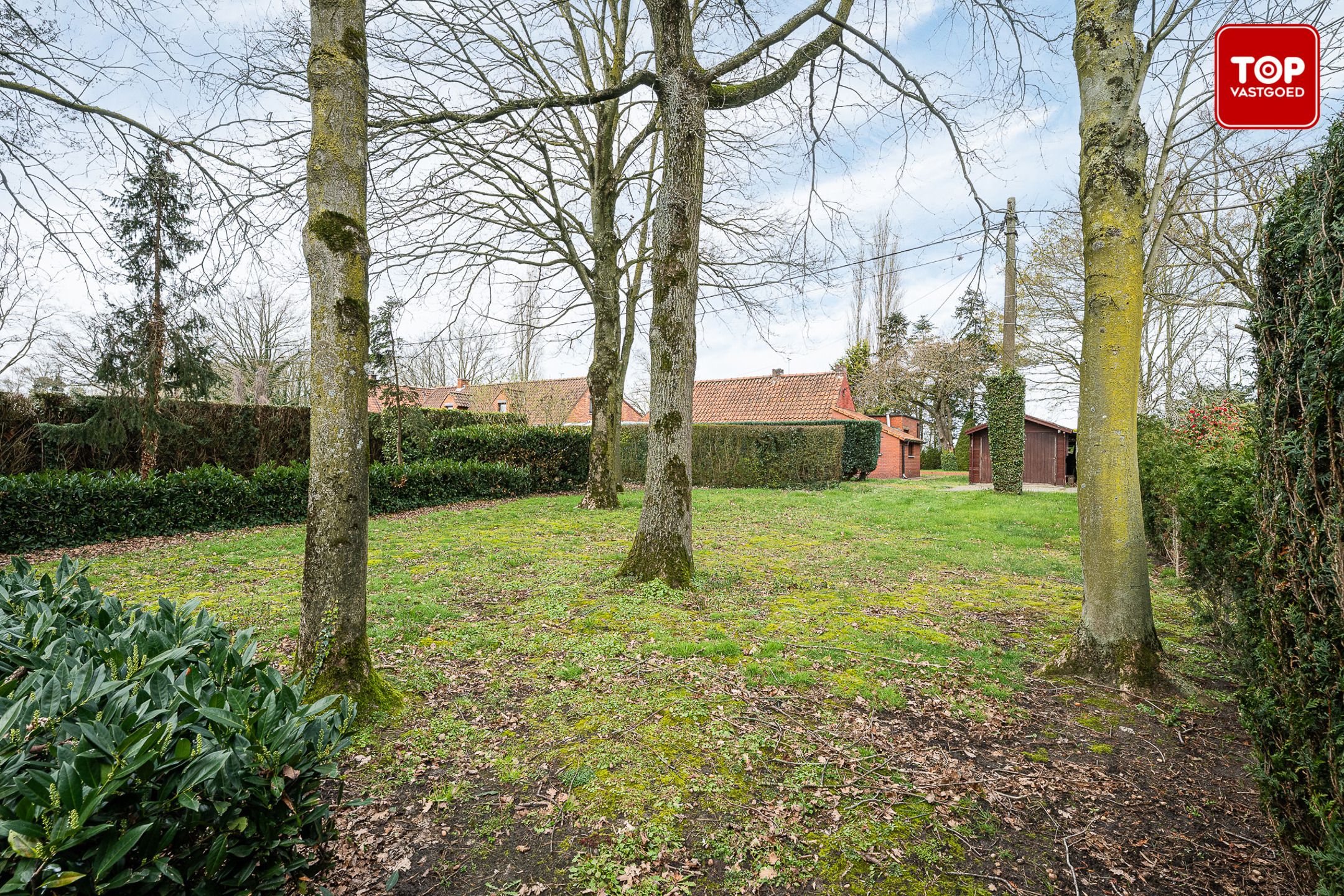 Maison à vendre à Lokeren avec 1 chambre - photo 4