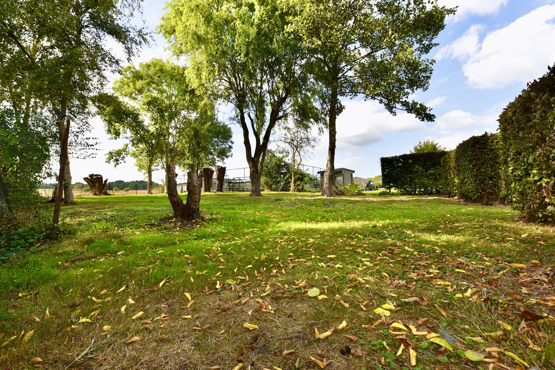 House for sale in Adegem with 3 bedrooms - photo 5