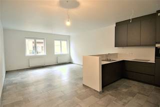 Instapklaar appartement met 1 slaapkamer +(bureel/hobbykamer), gelegen in het centrum van Maaseik. ALGEMEEN- Bouwjaar 2017.- Verwarming op aardgas.-...