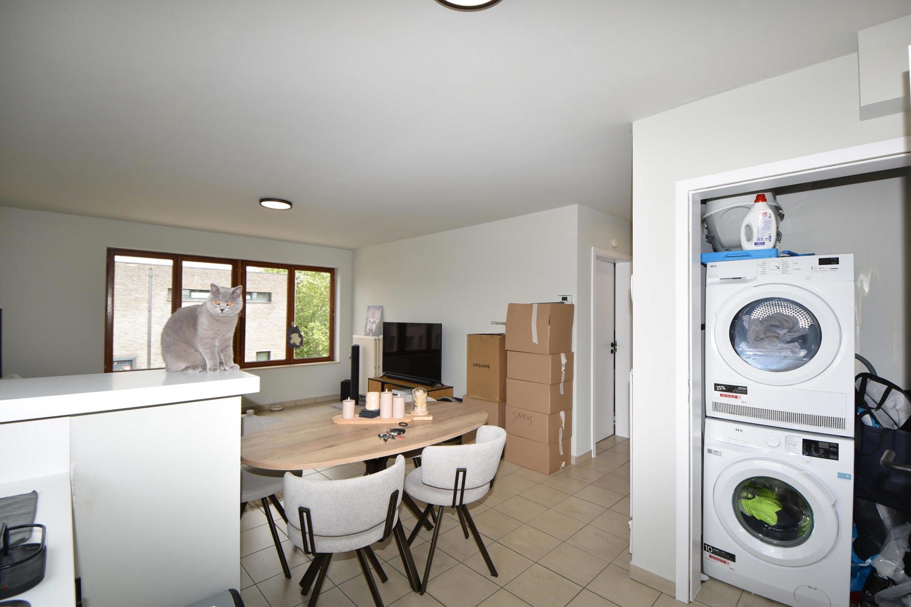 Lichtrijk 1-slk. app. met een bew. opp. van 50m² te Turnhout - foto 5