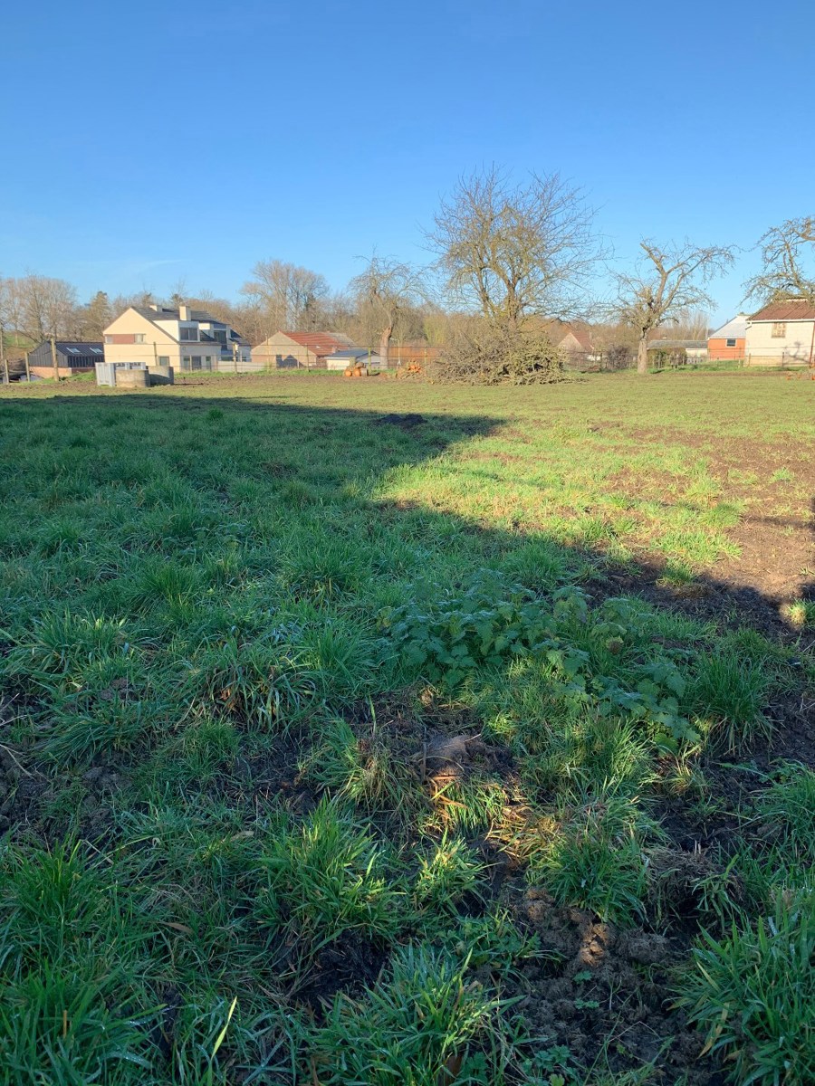 Ruim perceel met open bebouwing in Widooie (Tongeren) ideaal voor natuurliefhebbers - 630m² grond, tuin op het noordwesten - foto 3