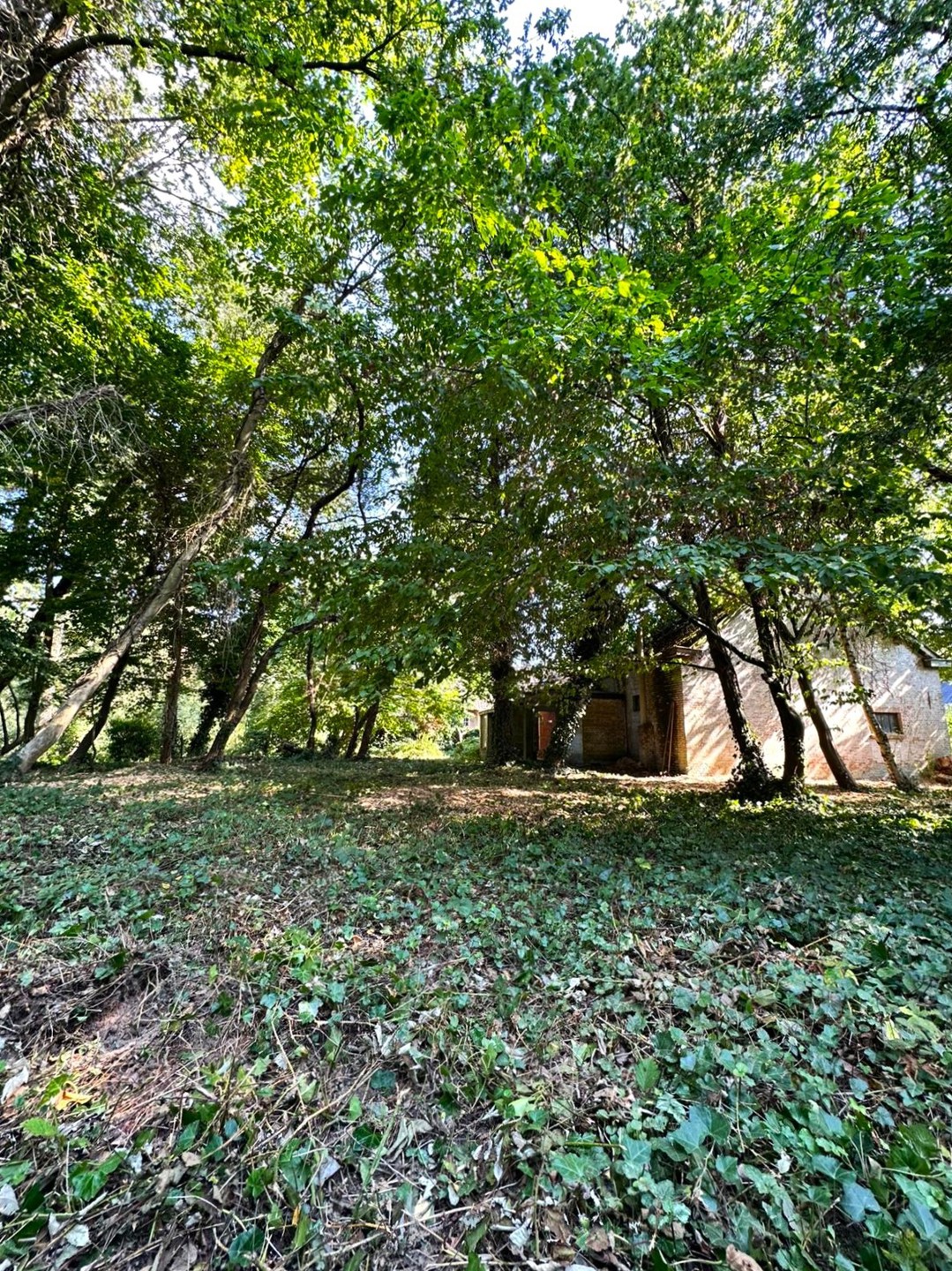 Maison à vendre à Werchter avec 4 chambres - photo 3