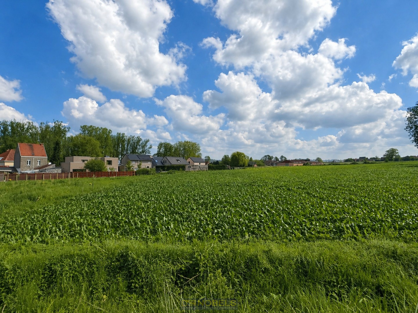 Te koop, mooi perceel (976m²) voor open bebouwing op vlot bereikbare locatie - foto 5