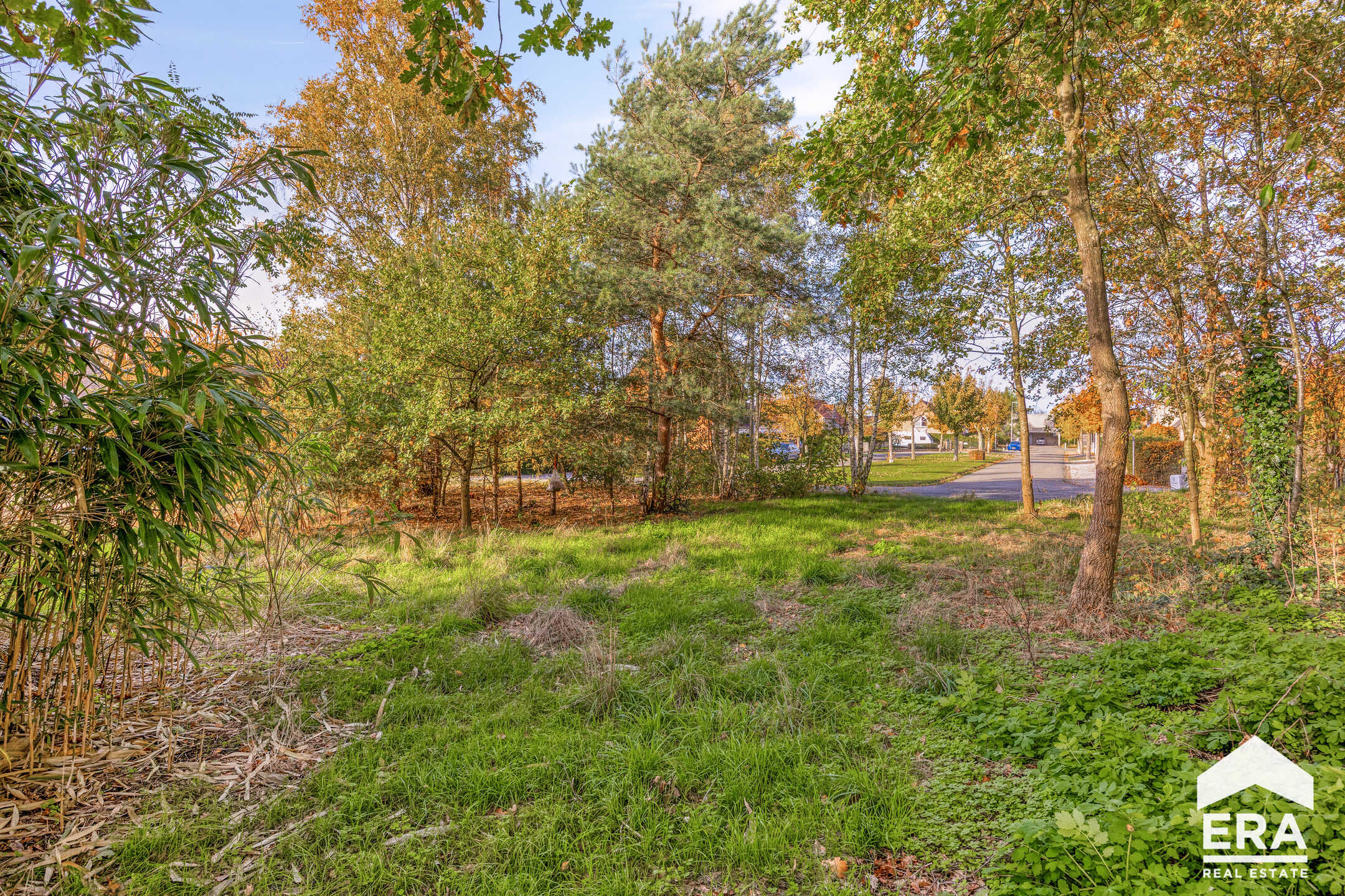 Terrain à vendre à Lommel - photo 4