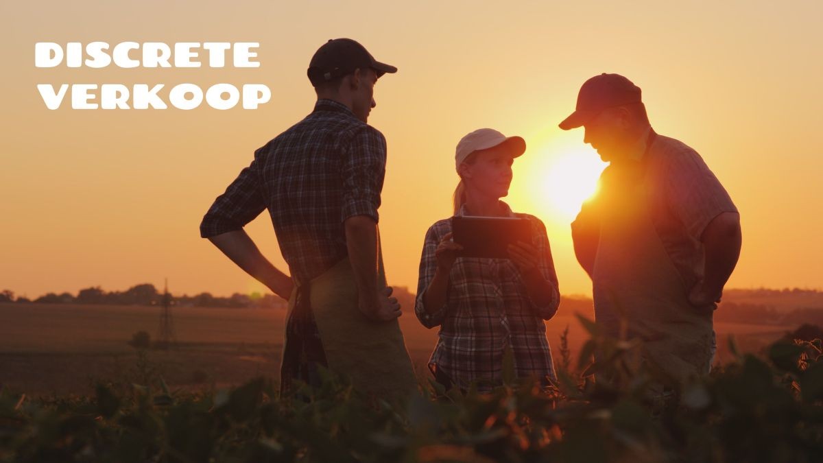 Pluimvee- en rundveebedrijf te koop te Zonnebeke - foto 1