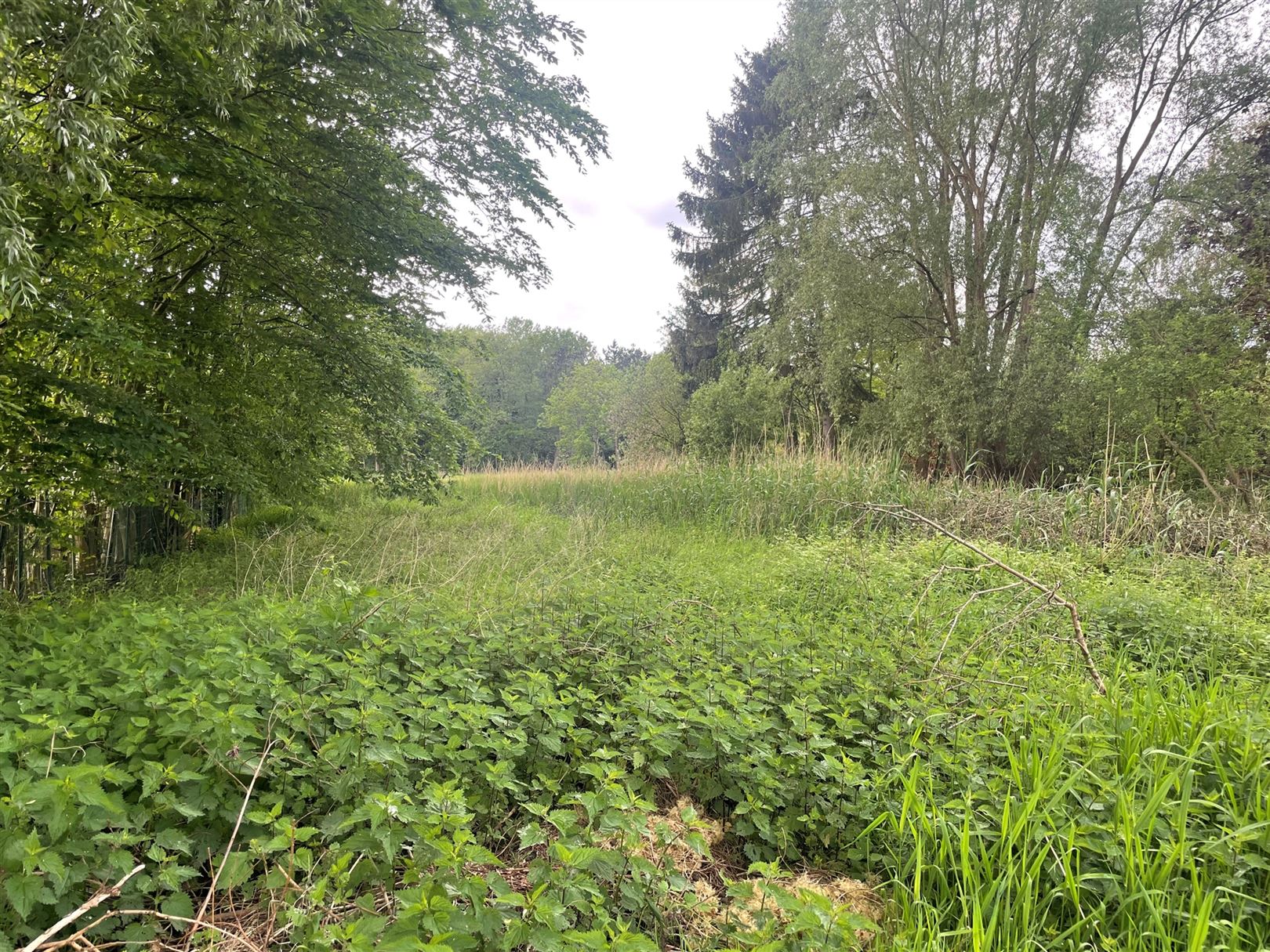 Perceel bouwgrond ca. 820m2 in verblijfsrecreatiezone "Het Moer" - foto 3