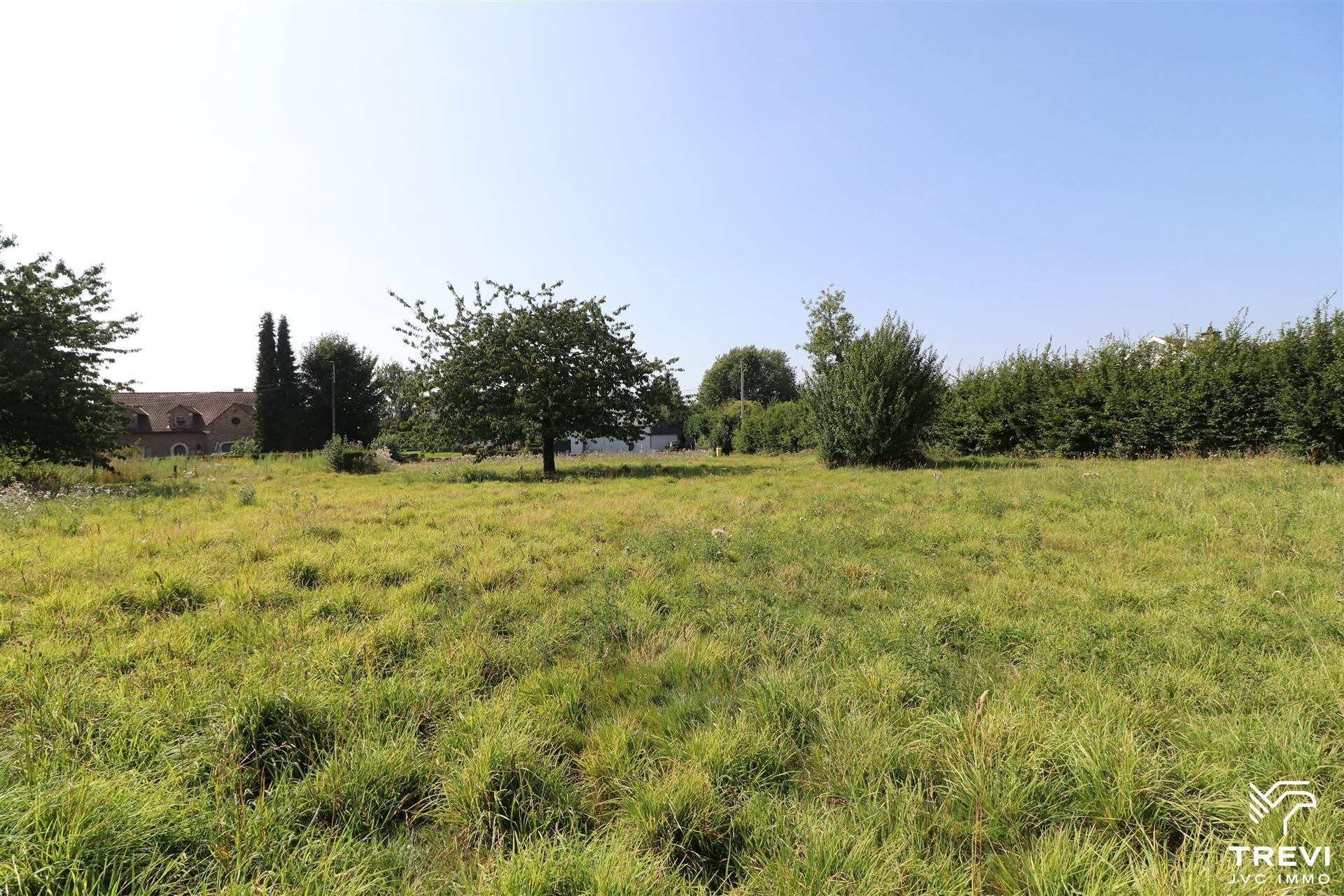 Grond te koop in Viemme - foto 4