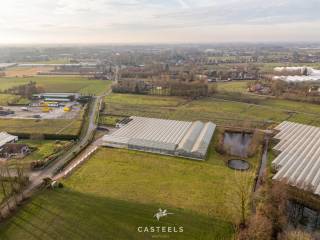 Dit sierteeltbedrijf biedt een instapklare basis voor een ondernemer die wonen en werken op één locatie wil combineren. De site ligt in landschappelijk agrarisch gebied en geniet een volledig geïsoleerde ligging, wat zorgt voor de nodige privacy en rust. Ondanks deze vrije ligging is de ontsluiting uitstekend: via de N445 zijn de R4 en E17 vlot bereikbaar, en het terrein is volledig verhard en ingericht om zwaar transport moeiteloos te faciliteren.<br /><br />Productie en techniek<br />De kweekfaciliteiten bestaan uit ca. 5.000 m² glas, verdeeld over Venlo-serres en De Clercq breedkappen. <br />De site is praktisch ingedeeld in vijf afdelingen, aangevuld met een ruime losruimte en een werkplaats.<br /><br />Op technisch vlak is de site volledig functioneel uitgerust:<br />-De teelt vindt plaats op een professioneel systeem van eb- en vloed/roltafels.<br />-Het klimaat en de scherming worden centraal aangestuurd via pc, waarbij twee afdelingen beschikken over dubbele scherming en de overige drie over enkele scherming (allen met energiedoeken).<br />-Voor de belichting is er een installatie met assimilatielampen van 600 en 1000Watt.<br />-Het geheel wordt verwarmd via een onder- en bovennet, ondersteund door ventilatoren en zwavelverdampers.<br />-Een opvallende troef voor de bedrijfszekerheid is de aanwezigheid van een grote stroomgenerator, die de continuïteit van de installaties waarborgt. <br />-Een open vijver van +/- 6a 66ca.<br /><br />Wonen en beheer<br />De site is uniek, er zijn twee wooneenheden van elk ca. 240 m² in de structuur ingebouwd, wat ideaal is voor familiale exploitatie of om permanent toezicht op de bedrijfsvoering te houden. Daarnaast is er een representatieve ontvangstruimte met burelen, sanitair en een keuken voorzien. De volledige site beschikt over wifi-dekking en is beveiligd tegen inbraak.<br /><br />Verkoopvoorwaarden<br />De exploitatie is volledig vergund (Milieuklasse 2). Wenst u meer informatie over dit operationele bedrijf of wilt u een discreet bezoek inplannen? Neem contact met ons op 0476/82.02.53