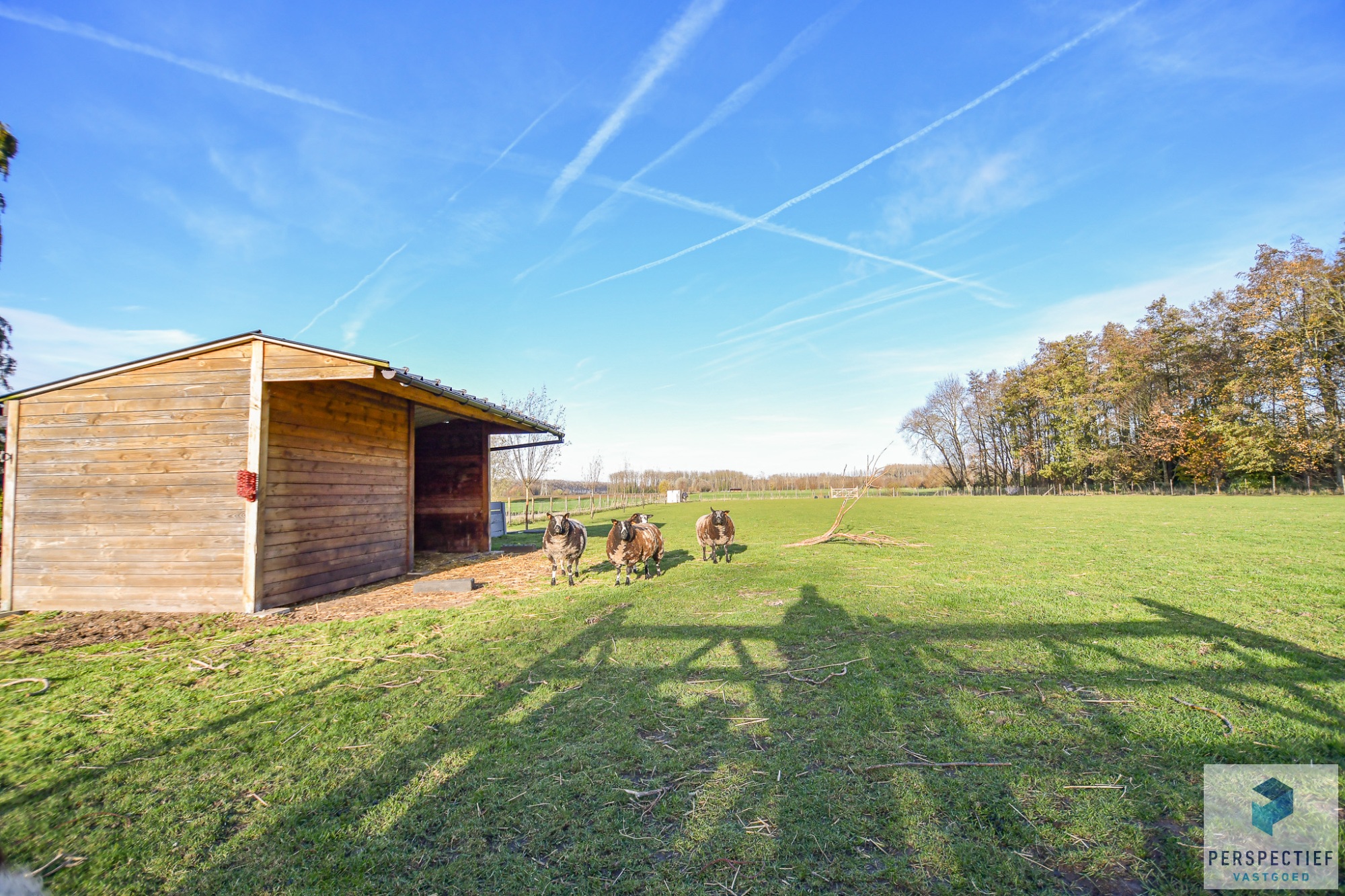 Landelijke woning met een magazijn, schuur en weide op 10 224m² - foto 3