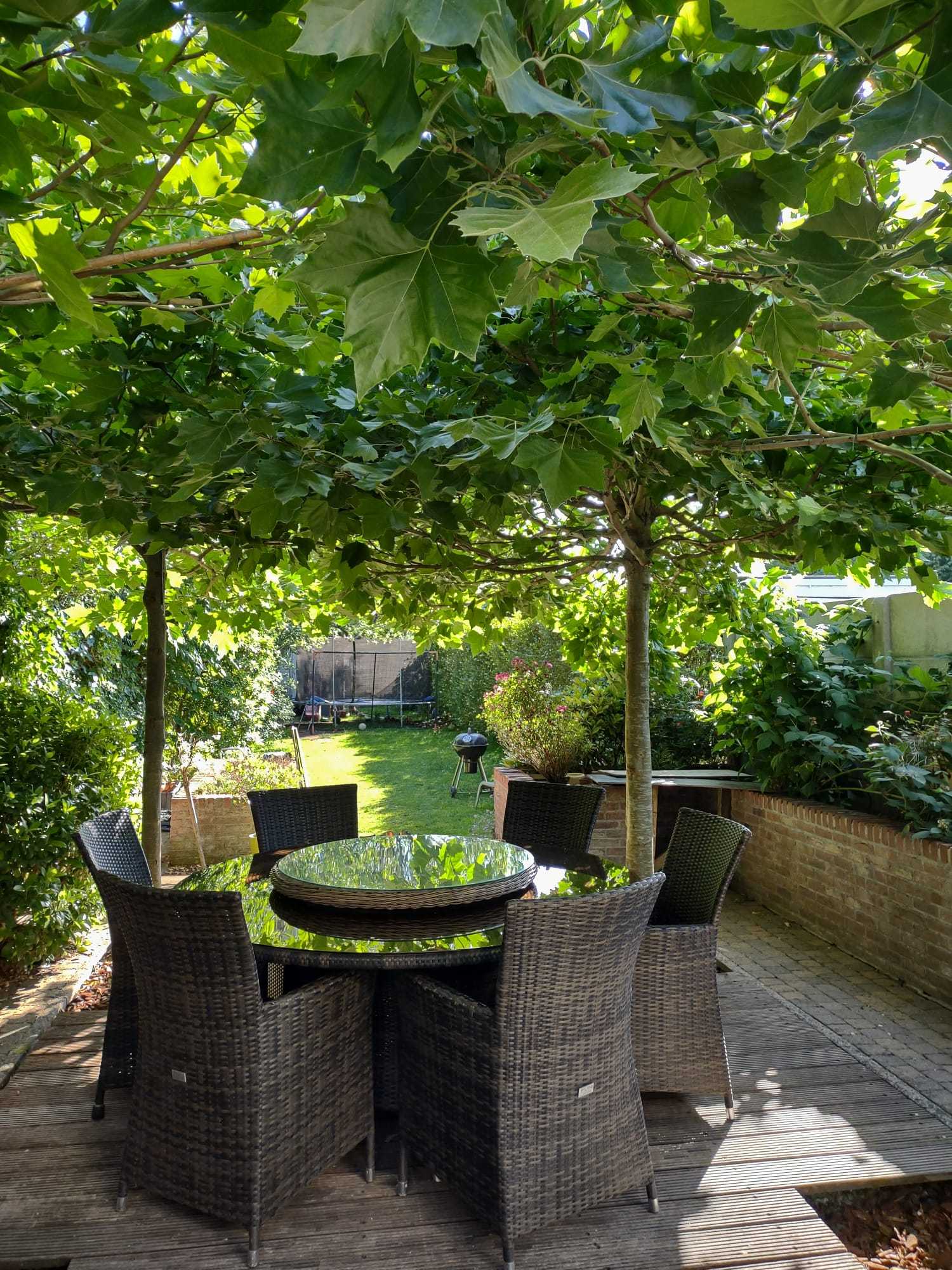 Huis te koop in Wilrijk met 3 slaapkamers - foto 4