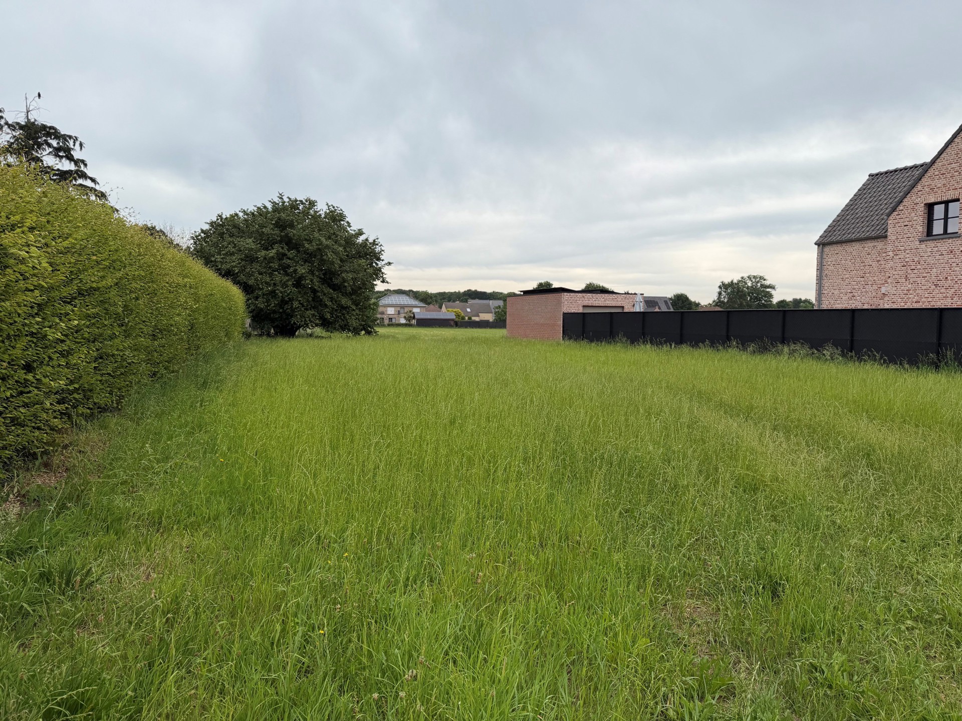 Ruime bouwgrond van 783 m² in Oostmalle! - foto 4