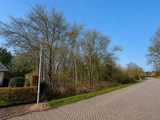 Grond voor open bebouwing in rustige, residentiële buurt.<br /><br />Bent u op zoek naar de ideale locatie om uw droomwoning te bouwen? Deze ruime bouwgrond van maar liefst 1508 m² is rustig gelegen in een aangename en residentiële woonwijk.<br /><br />Het perceel biedt uitstekende bouwmogelijkheden voor open bebouwing, met een straatbreedte van ca. 35 meter en een diepte van ca. 46 meter. <br />De mogelijke bouwbreedte bedraagt ca. 23 meter en de bouwdiepte ca. 20 meter. Een plat dak of schuin dak zijn beiden toegelaten, wat u veel vrijheid geeft bij het ontwerpen van uw droomwoning.<br /><br />De ligging is een grote troef: u woont hier in alle rust, maar toch op korte afstand van het centrum van Kasterlee met winkels, horeca, scholen en openbaar vervoer.<br />Ook natuurliefhebbers komen hier volop aan hun trekken. De Kabouterberg, een geliefde plek voor gezinnen met kinderen, en het Provinciaal Groendomein Hoge Mouw, populair bij wandelaars en mountainbikers, bevinden zich vlakbij.<br /><br />Kortom, een uitzonderlijke kans voor wie ruimte, rust en een groene omgeving wil combineren met een vlotte bereikbaarheid van alle voorzieningen.<br /><br />Op dit perceel is geen bouwverplichting.<br />Bouwvoorschriften verkrijgbaar op aanvraag.<br /><br />Interesse? Neem gerust contact op voor meer informatie op het nummer 014 58 02 08.<br /><em><br />*De aanduiding op de foto is van informatieve aard. De werkelijke perceelsgrens kan afwijken van deze afbeelding.<br /></em>